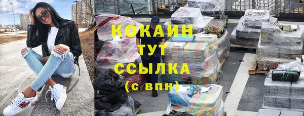 мяу мяу мука Белокуриха