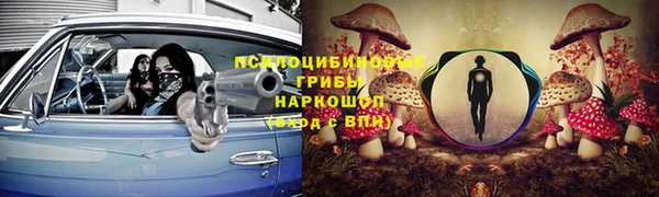 бошки Богданович